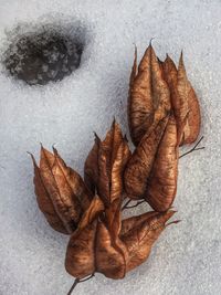 High angle view of dry maple leaves fallen on floor