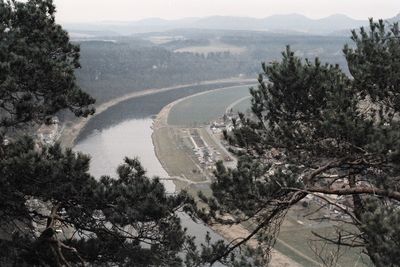 High angle view of trees on landscape