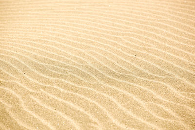 Sand background texture