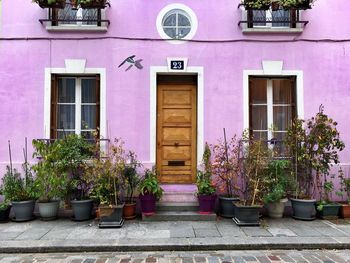 Potted plants on footpath outside building