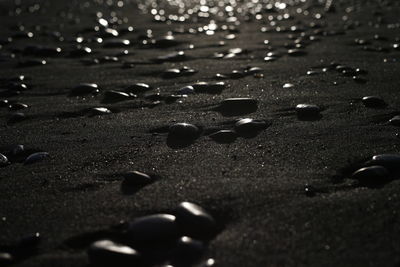 Close-up of raindrops on sand