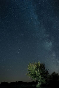 Low angle view of star field against star field