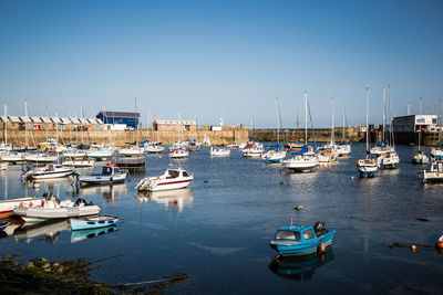 Sailboats moored in harbor