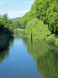 Scenic view of lake in forest against sky