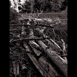 abandoned