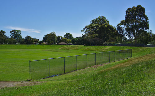 Scenic view of grassy field against sky