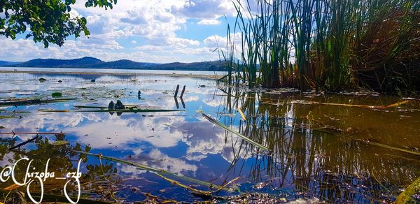 Scenic view of lake against sky