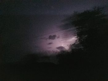 Low angle view of silhouette trees against sky at night