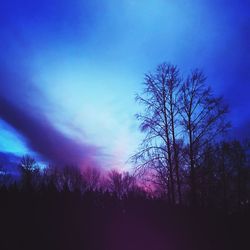 Low angle view of silhouette trees against sky