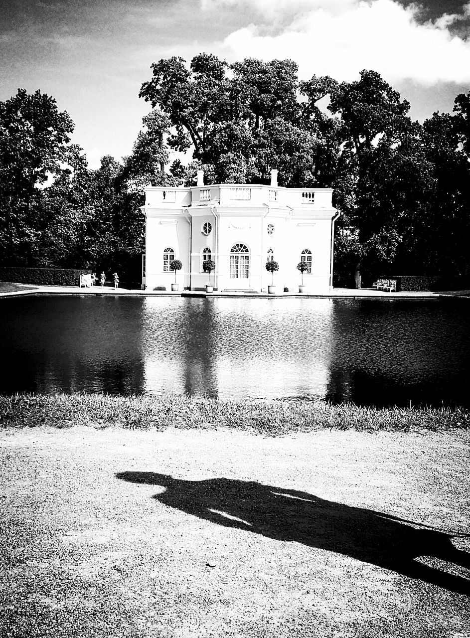 tree, architecture, built structure, building exterior, shadow, clear sky, water, in front of, day, growth, outdoors, no people, riverbank