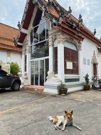 architecture