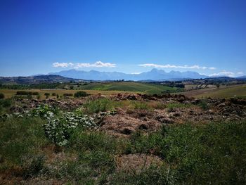 Scenic view of field against cloudy sky