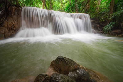 Scenic view of waterfall in forest