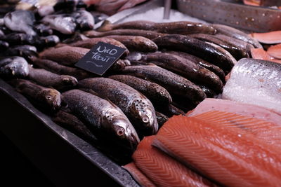 Close-up of fish for sale