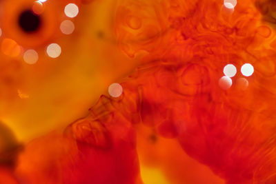 Full frame shot of illuminated lights