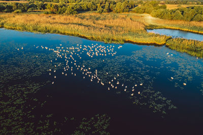 High angle view of lake