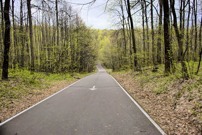 Empty road along trees on landscape