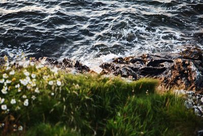 Close-up of sea wave
