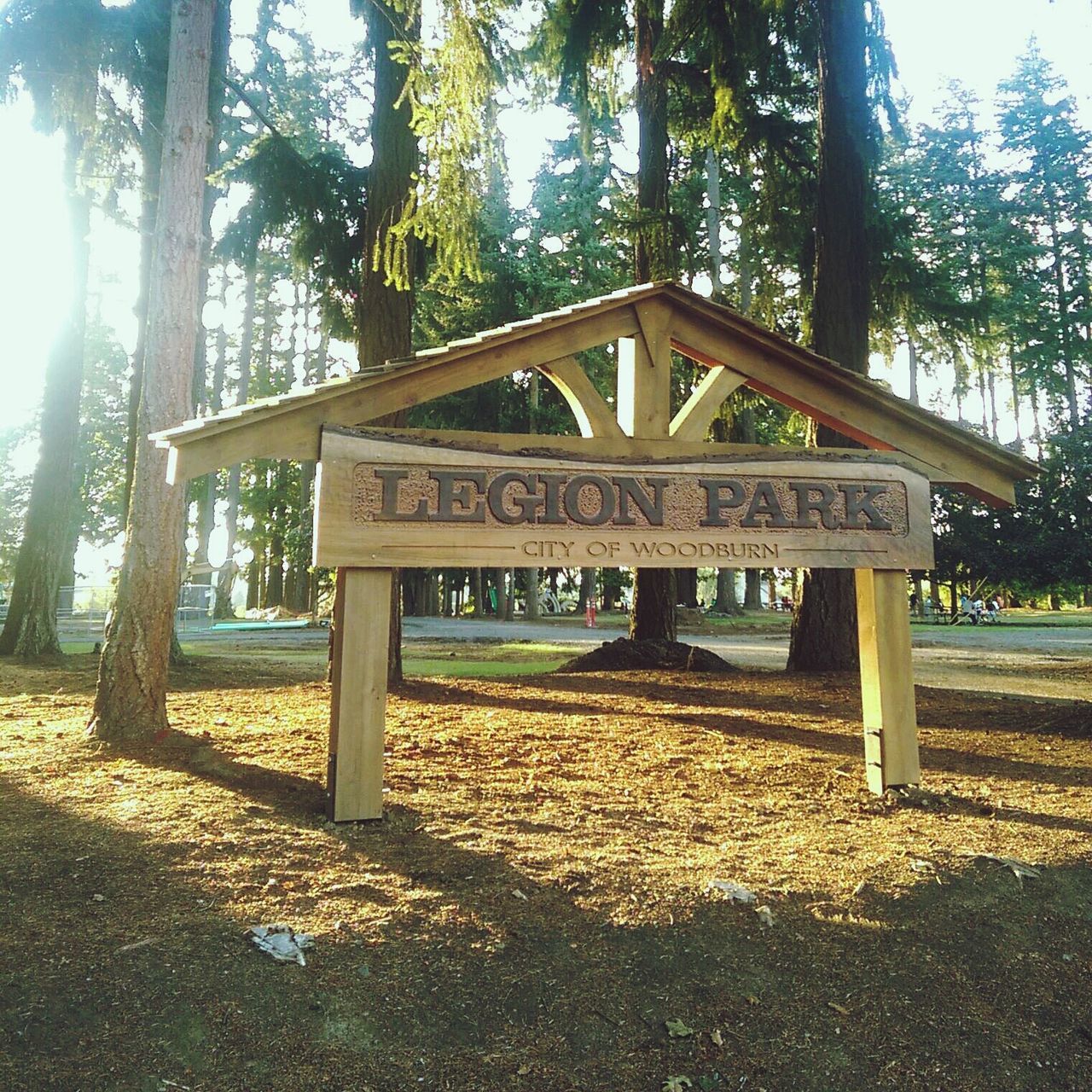 tree, text, western script, sunlight, built structure, bench, communication, architecture, growth, building exterior, park - man made space, shadow, wood - material, day, tree trunk, outdoors, non-western script, absence, tranquility, nature