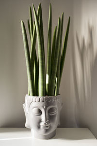 Decorative grey buddha head planter, with plant, that create a calming atmosphere