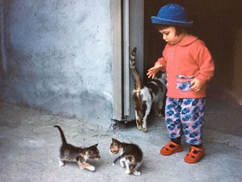 Girl standing with kittens and cat at doorway