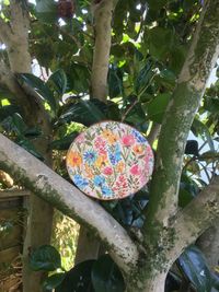 Low angle view of plants growing on tree