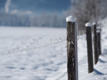 Close-up of wooden post during winter