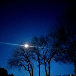 Low angle view of illuminated tree against blue sky