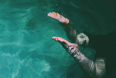 Low section of person swimming in sea