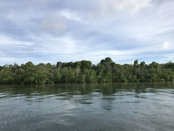 Scenic view of lake by trees against sky