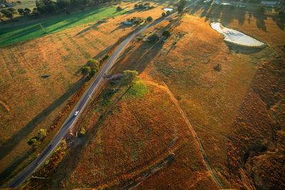 High angle view of agricultural field