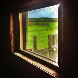 window