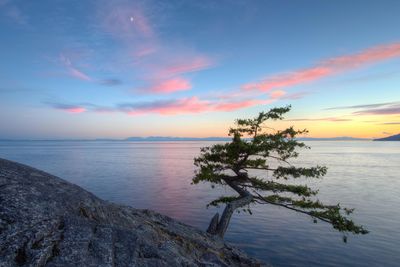 Scenic view of sea against sky at sunset