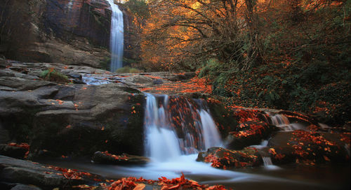 Waterfall in forest