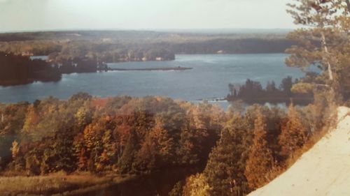 Reflection of trees in pond