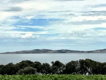 Scenic view of field by lake against sky