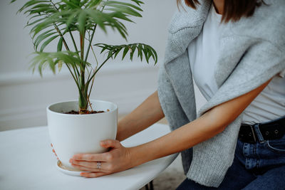 Woman  is engaged in houseplants in a pot at home in the living room