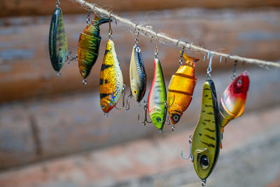 Close-up of butterfly hanging on clothesline