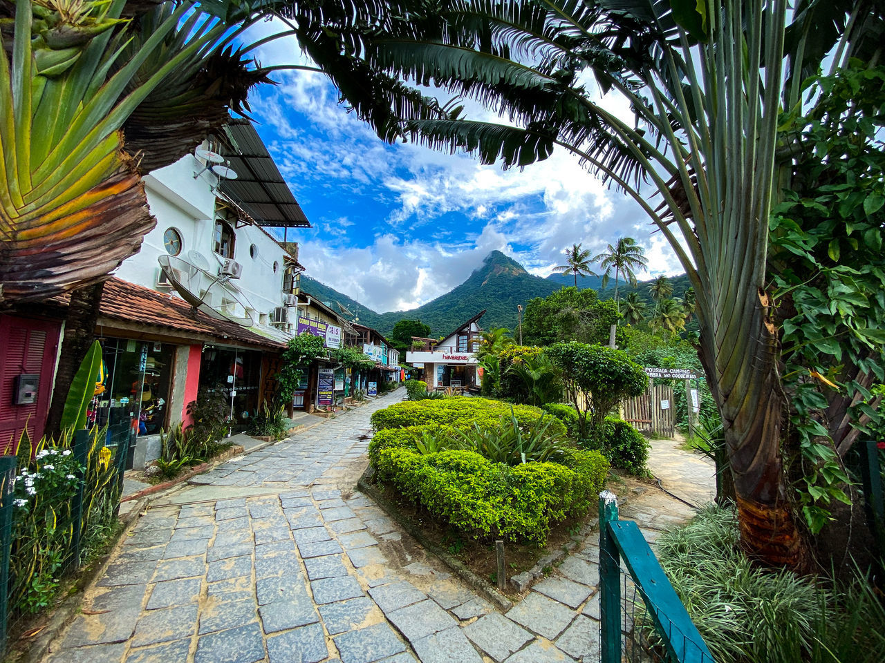 FOOTPATH AMIDST PLANTS AND PALM TREES AND BUILDINGS