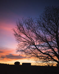 Silhouette tree against sky during sunset