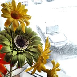 Close-up of yellow flowers