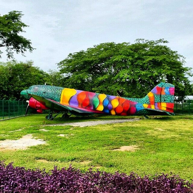 grass, tree, sky, green color, field, multi colored, flag, park - man made space, patriotism, day, growth, outdoors, grassy, playground, nature, national flag, in a row, absence, tent, american flag