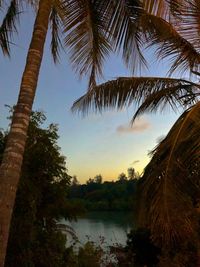 Palm trees by lake against sky during sunset