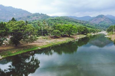 Scenic view of lake by trees against sky