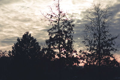 Low angle view of trees against cloudy sky