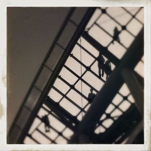 shadow
