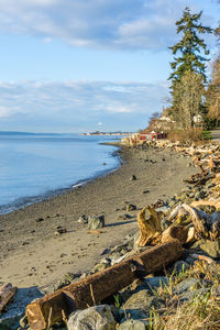 A view of the beach and waterfront homes at lincoln park in west seattle, washington.