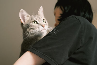 A domestic striped gray cat with yellow eyes sits in the arms of the hostess. 