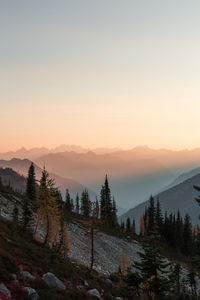 Scenic view of landscape against sky during sunset