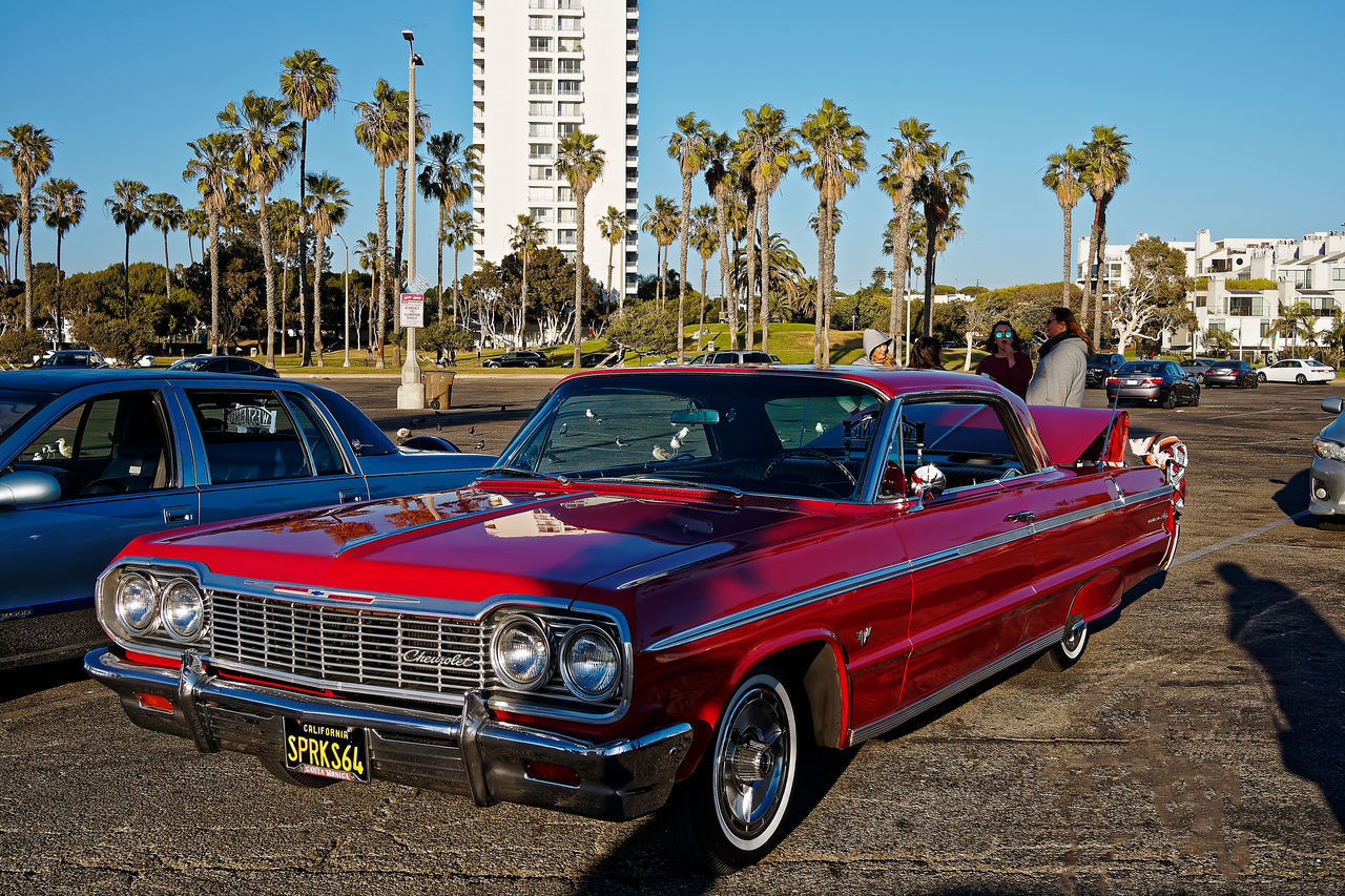 CARS ON ROAD IN CITY